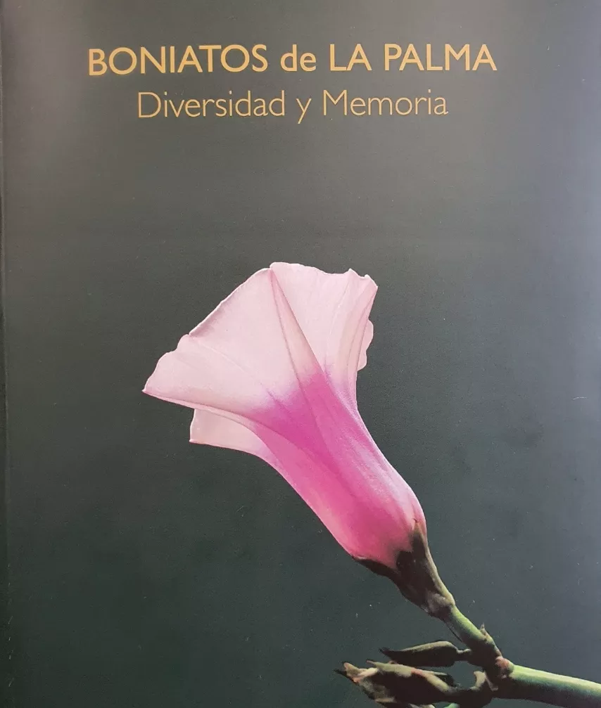 Publicación Boniato de La Palma. / CABILDO DE LA PALMA