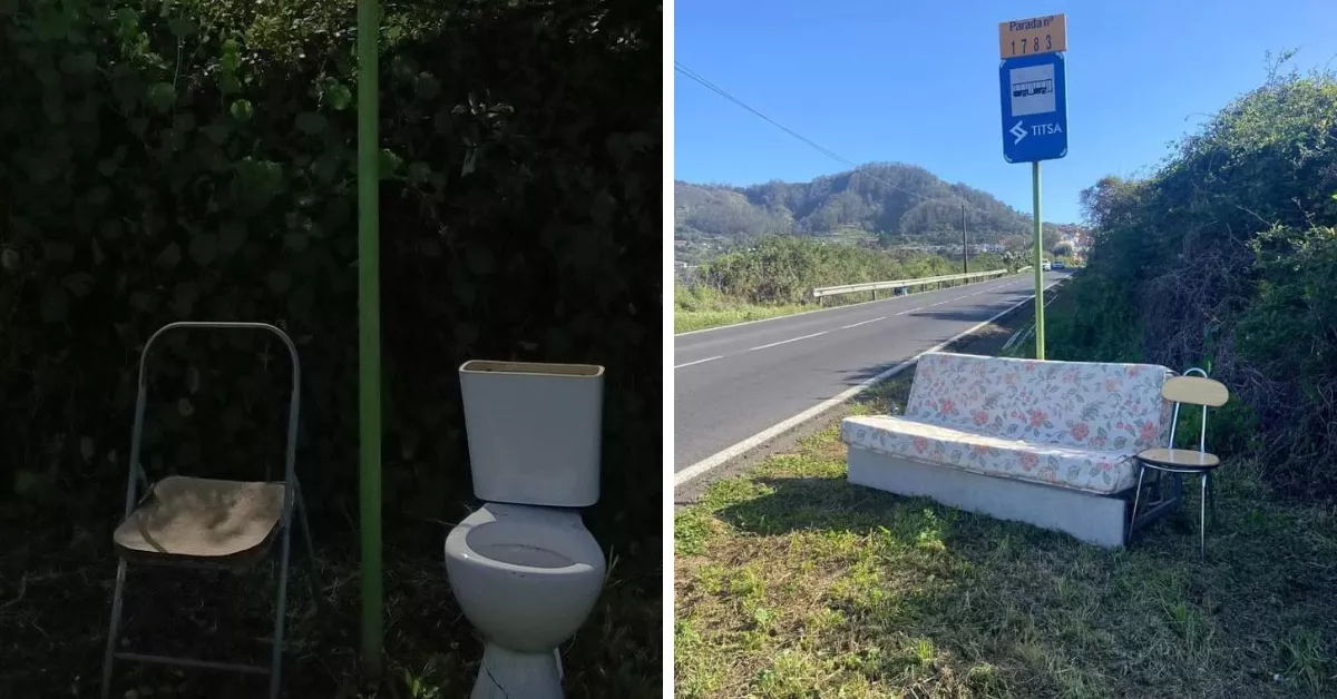 Una silla, un váter y un sofá cama en distintas paradas de guagua del entorno de Tegueste y Bajamar./ REDES
