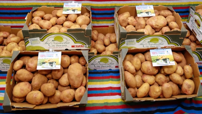 Spar y agricultores, unidospara la cosecha y comercialización de la papa en Gran Canaria / EFE - ELVIRA URQUIJO