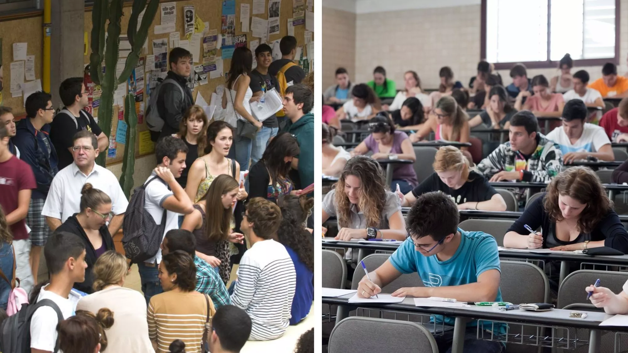 En la imagen, alumnos de la ULPG y la ULL, que en algunos casos deberán hacer frente a la cotización de las prácticas como becarios de sus estudiantes. / AH