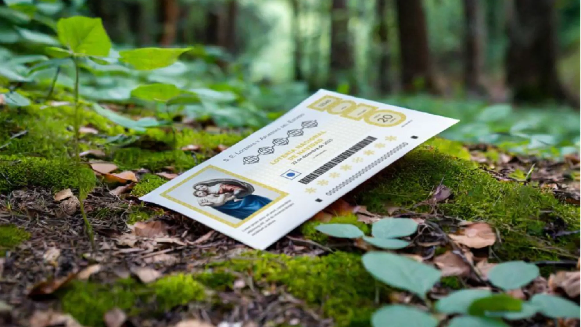 CO2 Revolution ha expuesto que haría falta un bosque de 200 árboles para reparar la producción de la lotería de Navidad / SERVIMEDIA