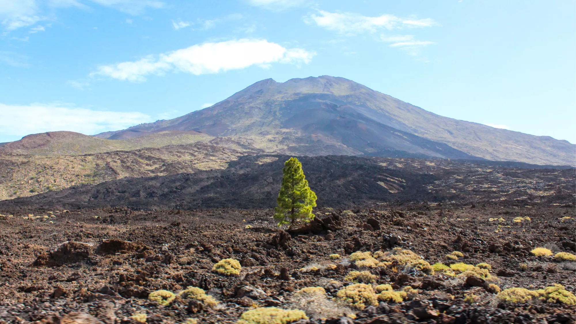 Zona volcánica de Tenerife.  UNSPLASH