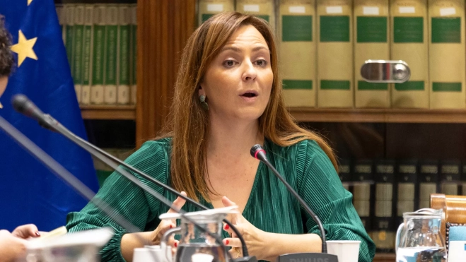 La consejera de Presidencia, Administraciones Públicas, Justicia y Seguridad del Gobierno de Canarias, Nieves Lady Barreto / EFE