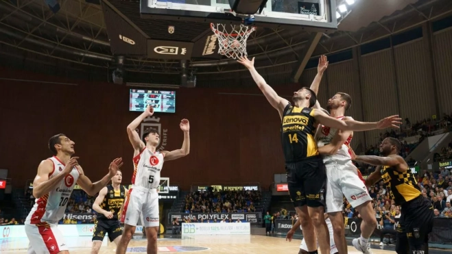 Diseño sin título 2023 12 22T232904.813 Diseño sin título 2023 12 22T232904.813