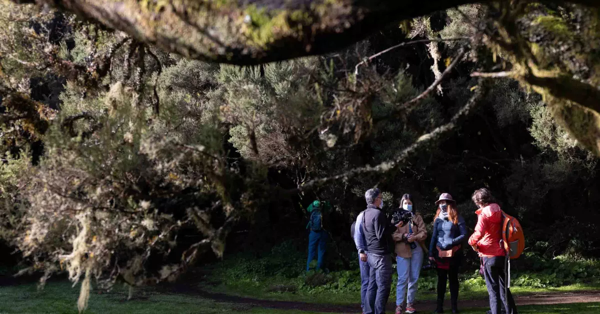 Imagen de fotógrafos en el Ecophoto El Hierro / BIRDING CANARIAS