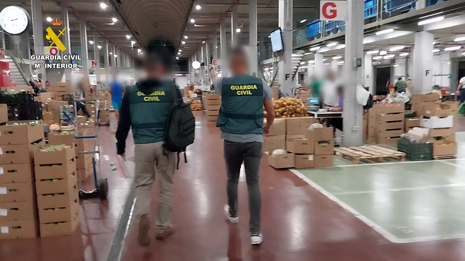 Dos agentes de la Guardia Civil en la operación donde se han intervenido cerca de diez toneladas de fruta y verdura en Tenerife / GUARDIA CIVIL