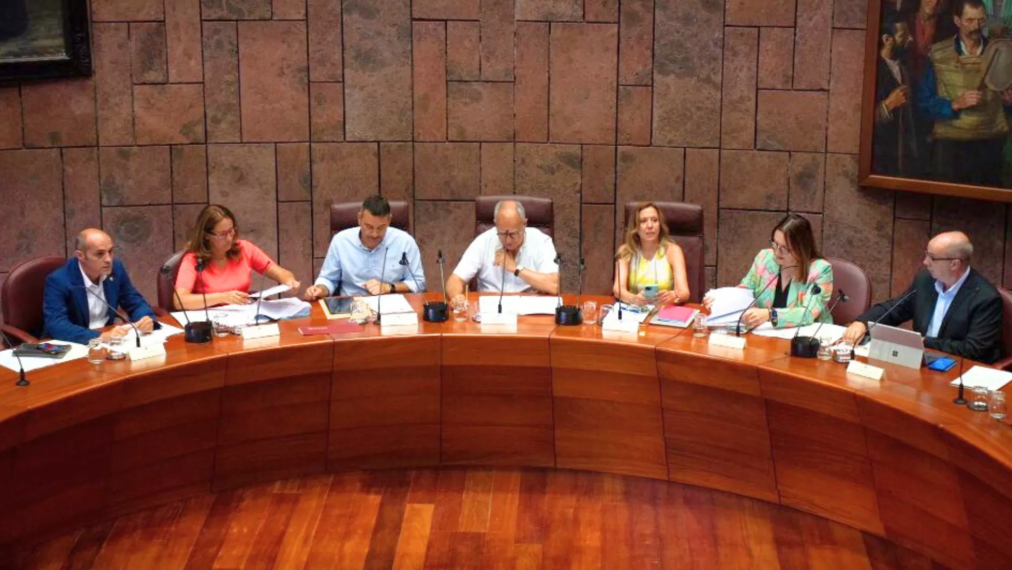 Reunión de la Federación Canaria de Islas en la que se ha votado el uso de la mascarilla obligatoria en los centros sociosanitarios. / CEDIDA
