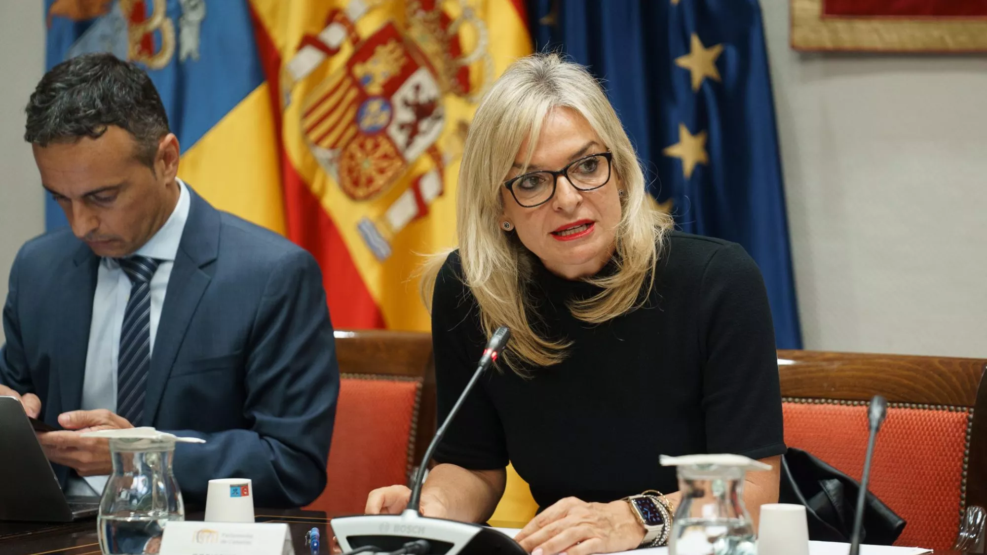 Esther Monzón, consejera de Sanidad. / EFE