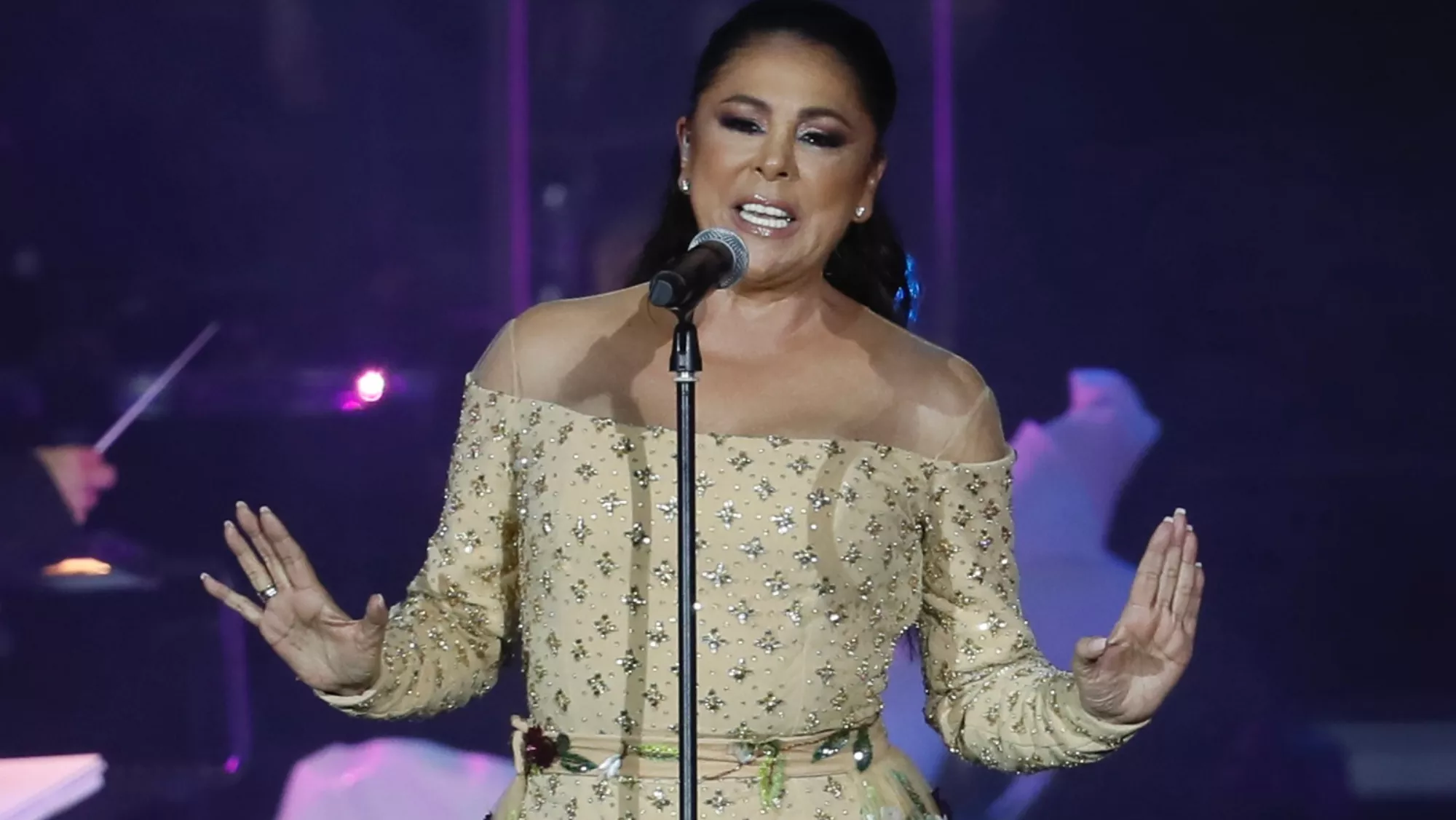 Isabel Pantoja durante uno de sus conciertos / EFE