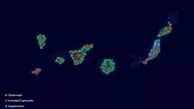 Mapa de incidencias del rabo de gato / GOBIERNO DE CANARIAS