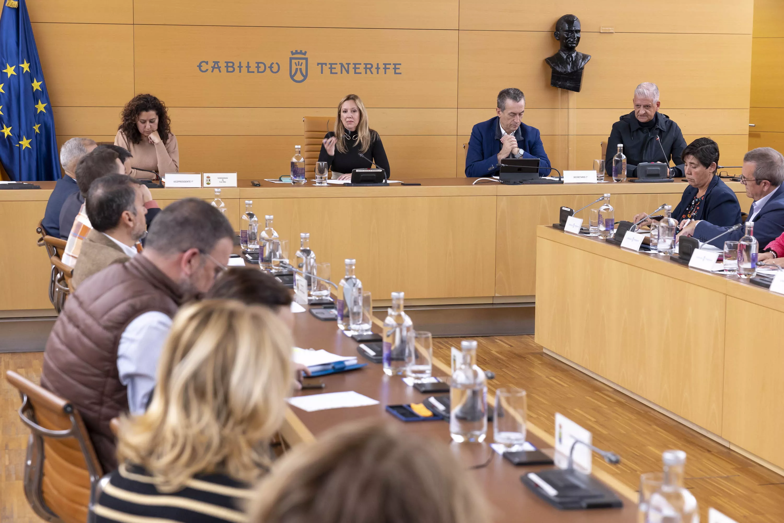Reunión del Consejo Insular de Administración de Tenerife. / MIGUEL BARRETO-EFE