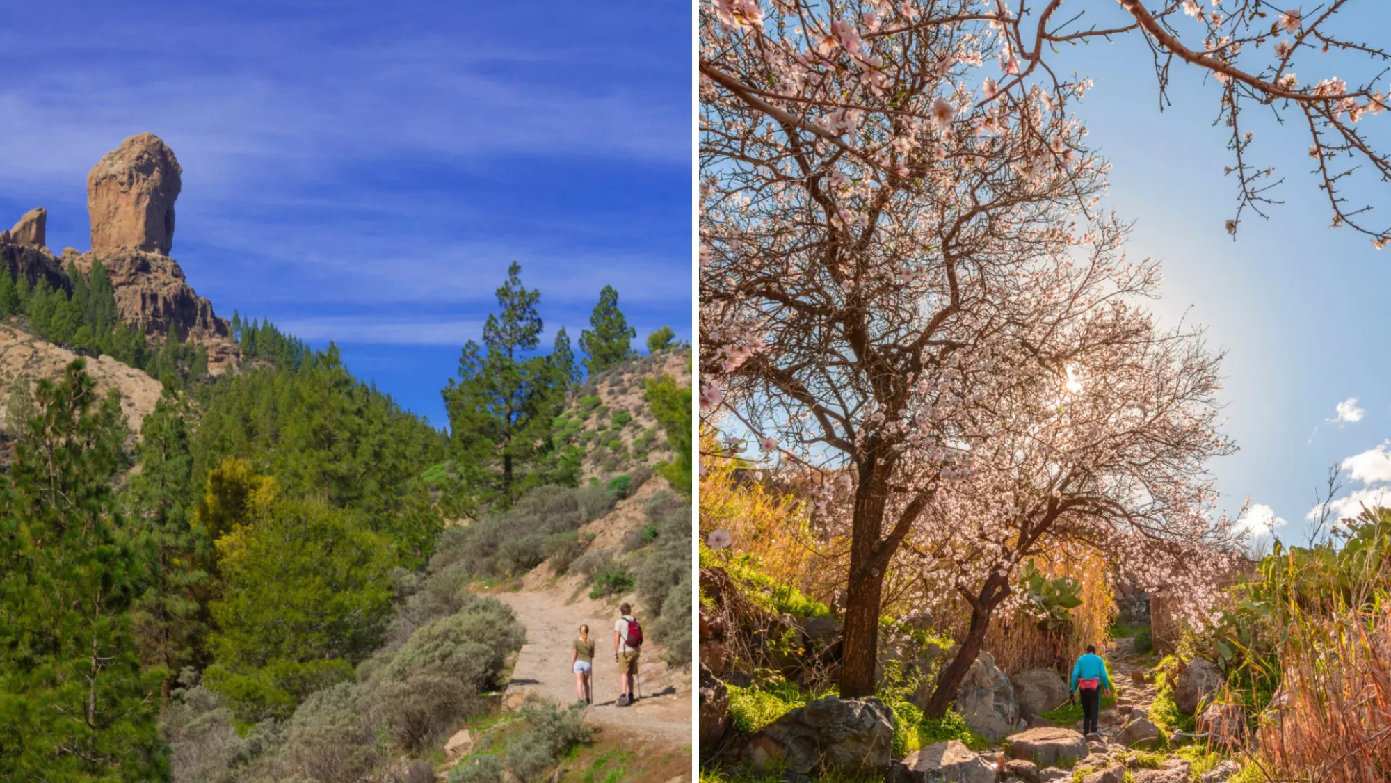 Personas recorriendo un sendero / CABILDO DE GRAN CANARIA