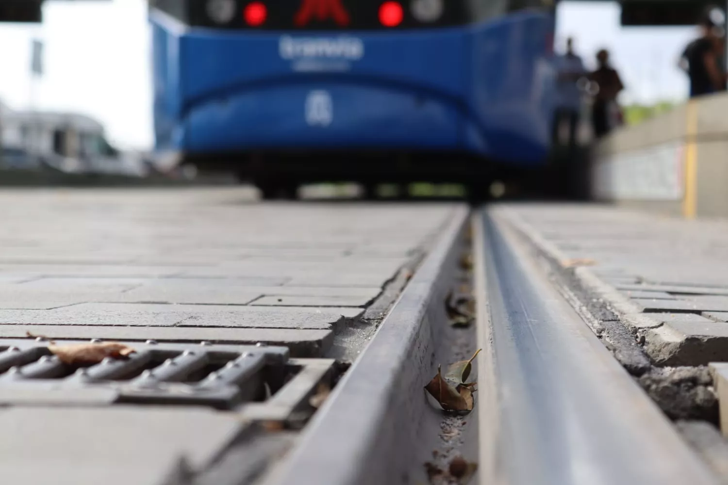Vías del tranvía de Tenerife. / AINOHA CRUZ- ATLÁNTICO HOY