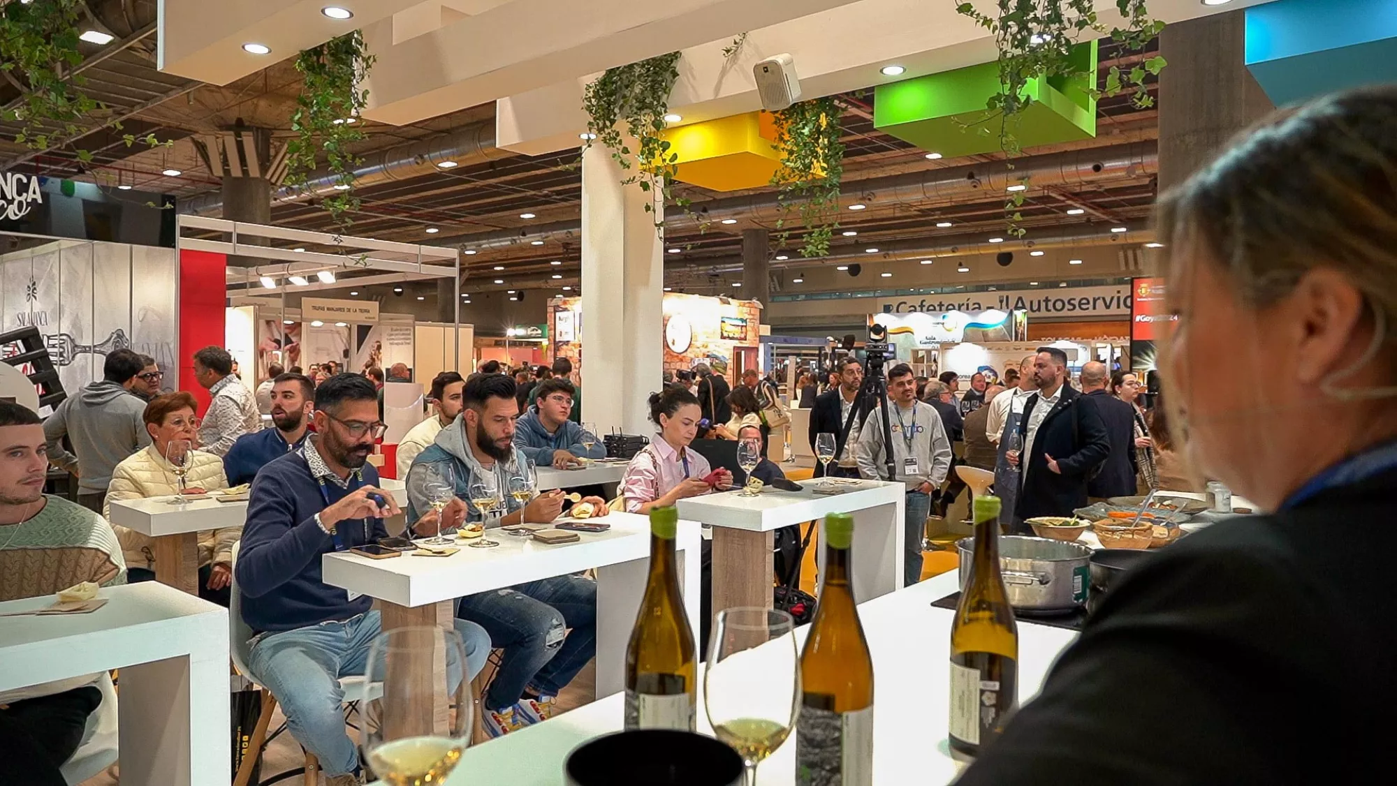 Gastronomía grancanaria en Madrid Fusión / TURISMO DE GRAN CANARIA