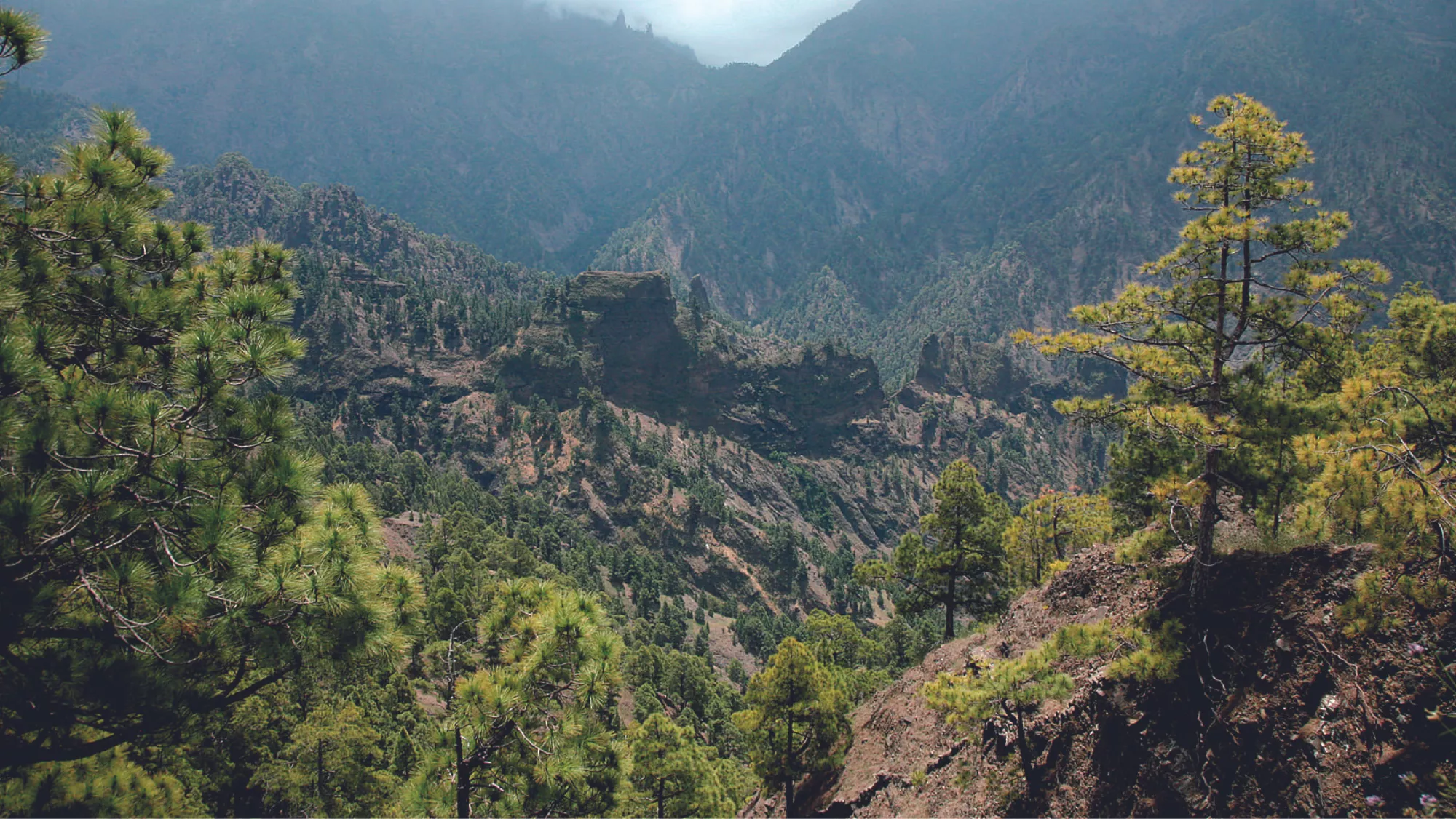 Un paisaje de Canarias / GOBIERNO DE CANARIAS