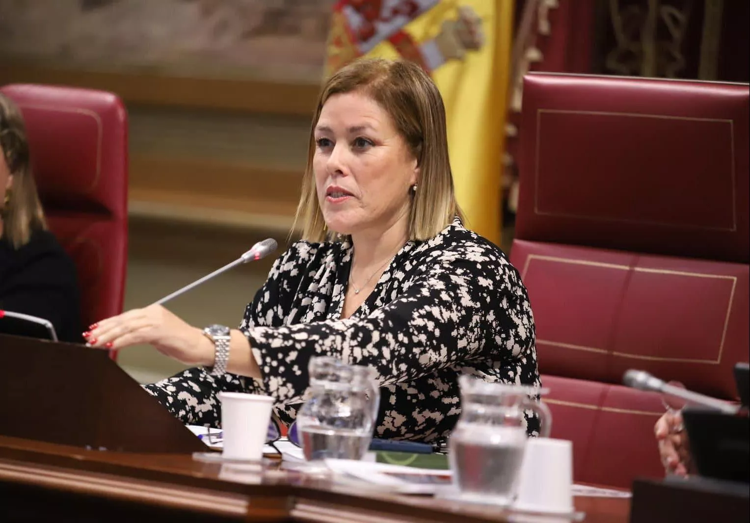 La presidenta del Parlamento de Canarias, Astrid Pérez./ 