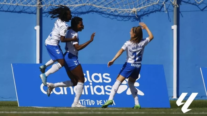 monday koko y clau monday koko y clau