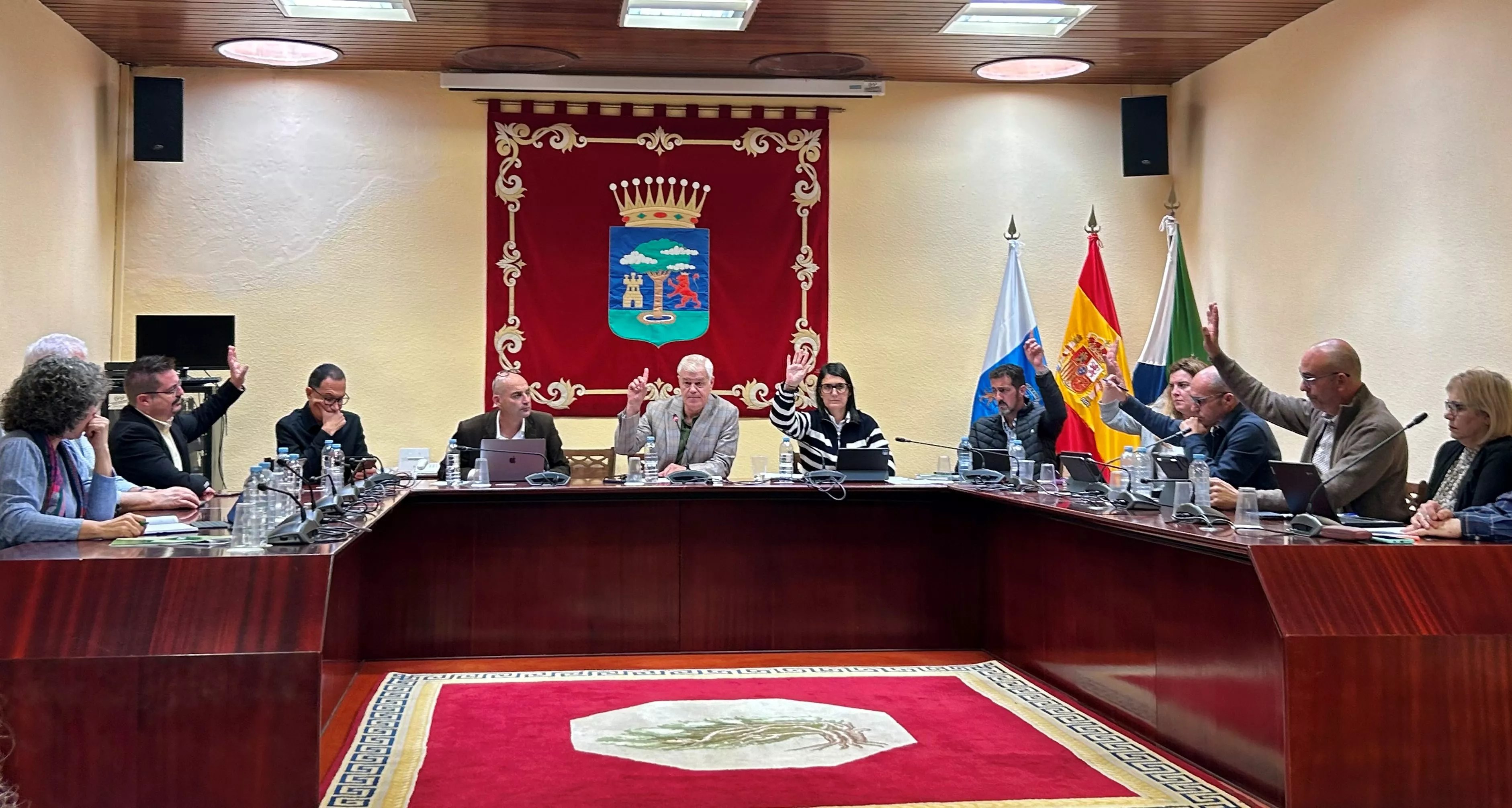 Pleno en el Cabildo de El Hierro / CEDIDA