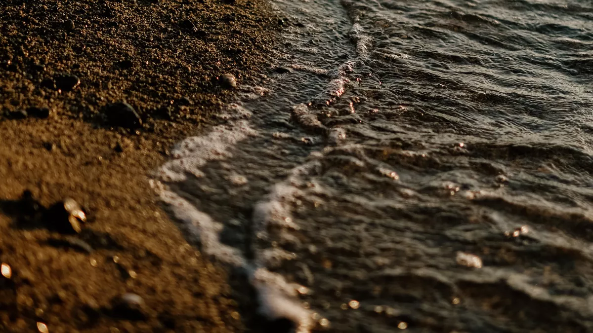 Imagen de archivo de una playa de arena fina / Pexels 