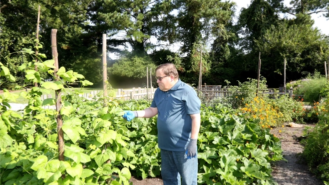 Empleo con apoyo Empleo con apoyo