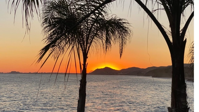 El entorno y las palmeras recuerdan a Mogán (Gran Canaria)