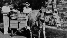 Los hermanos López Arvelo, Domingo y Fernando, junto a la burra con la que empezaron a vender verduras. / GRUPO FEDOLA