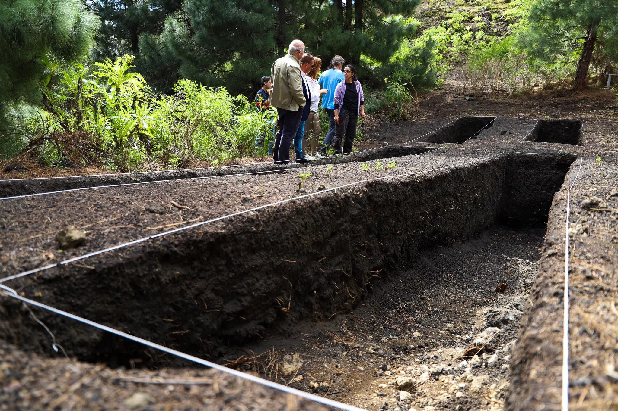 Imagen de los trabajos de excavación en búsqueda de fosas del Pino del Consuelo en Fuencaliente con restos de represaliados de la Guerra Civil. / LUIS G. MORERA-EFE