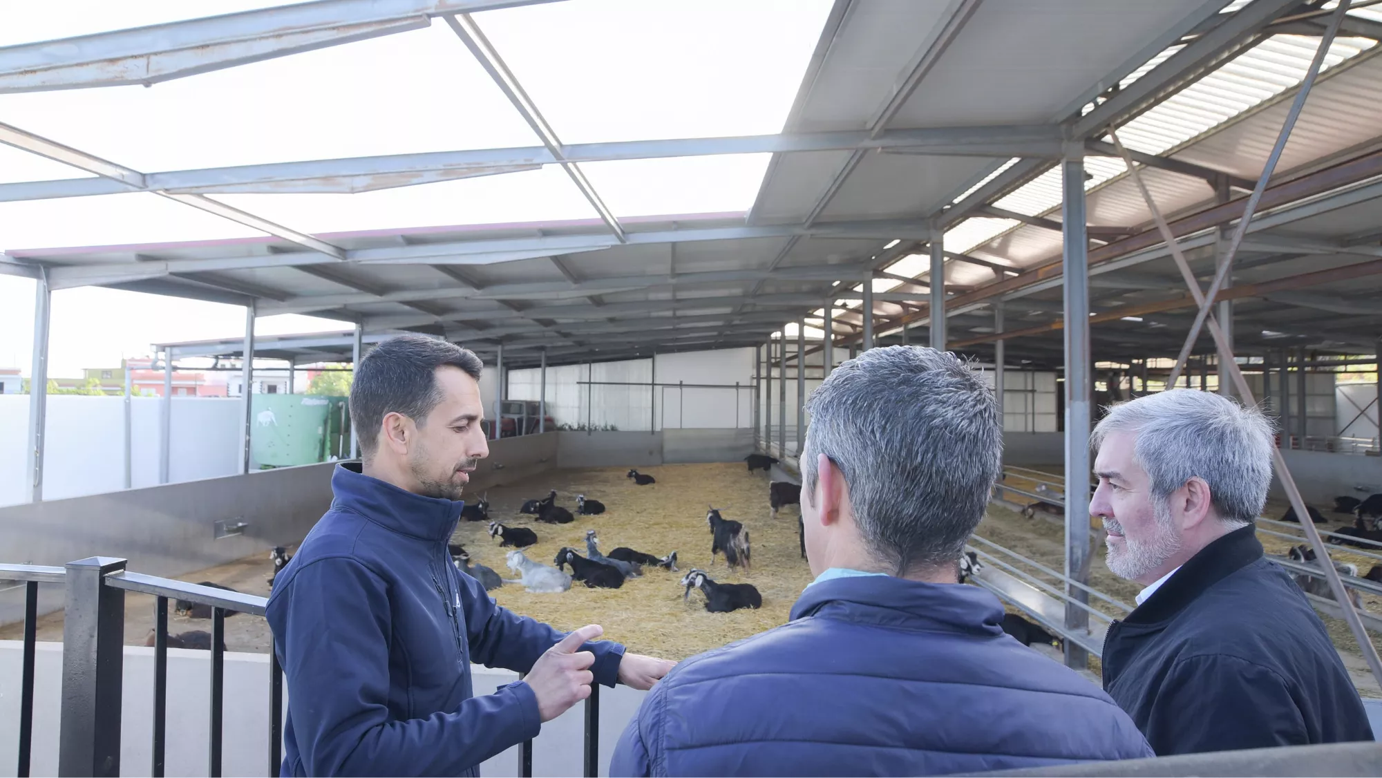 Narvay Quintero y Fernando Clavijo en una explotación ganadera / GOBIERNO DE CANARIAS