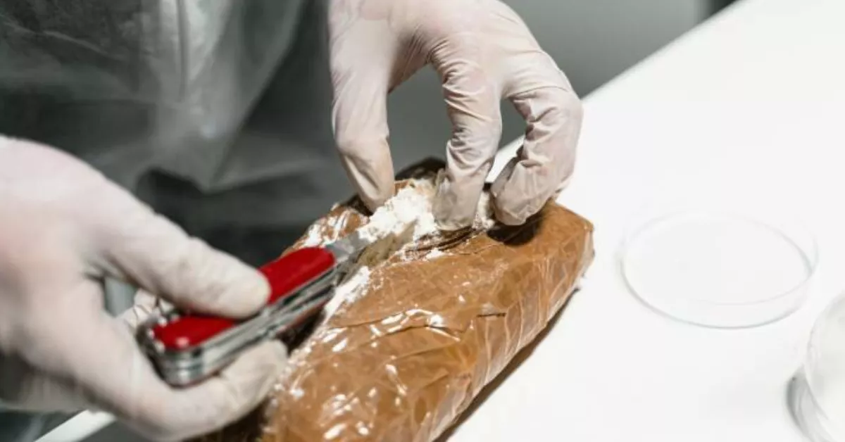 Imagen de un fardo de droga / PEXELS