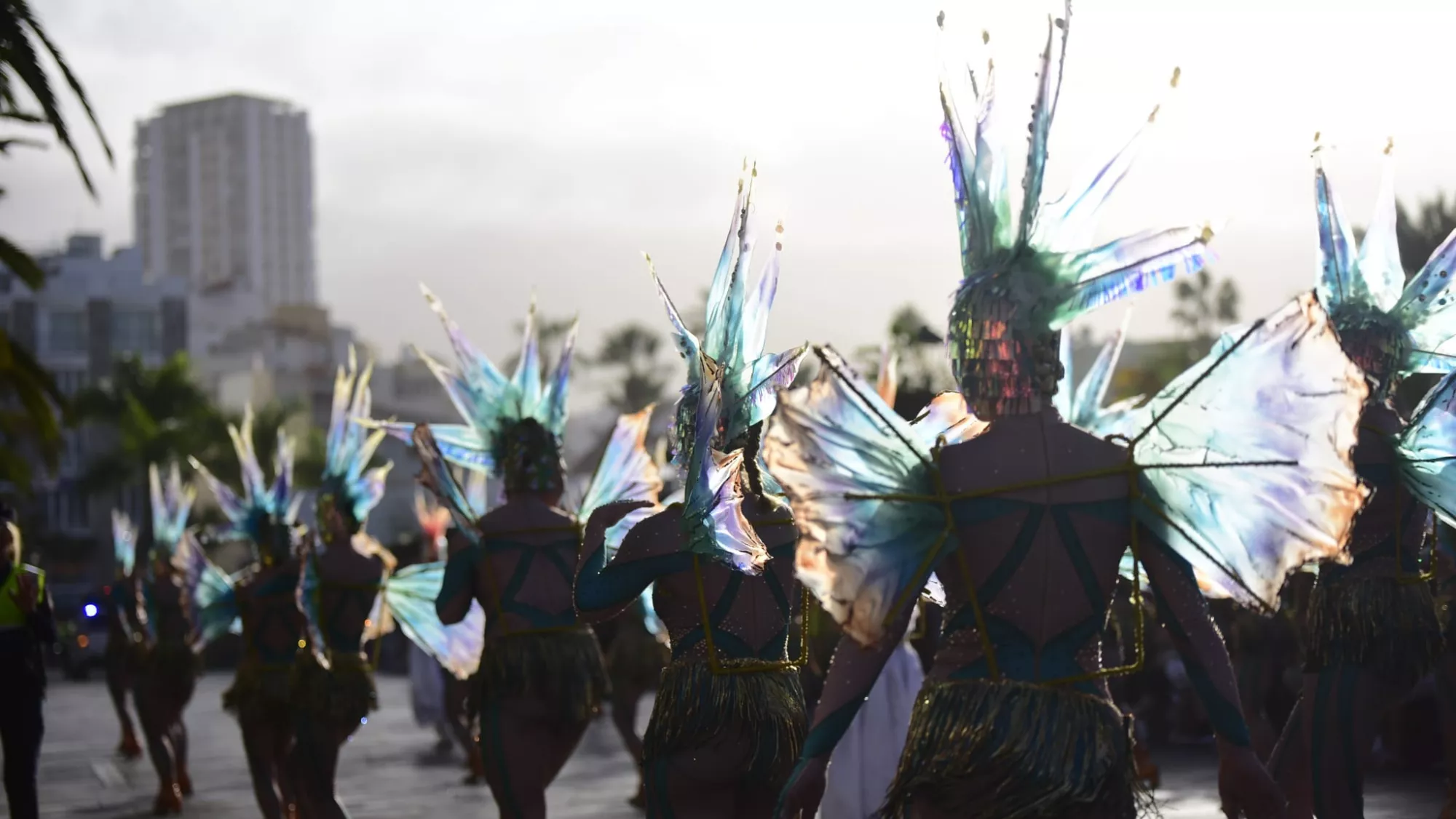 Imagen del Coso de Santa Cruz de Tenerife  ROBERTO MARTÍN   AYUNTAMIENTO DE SANTA CRUZ DE TENERIFE