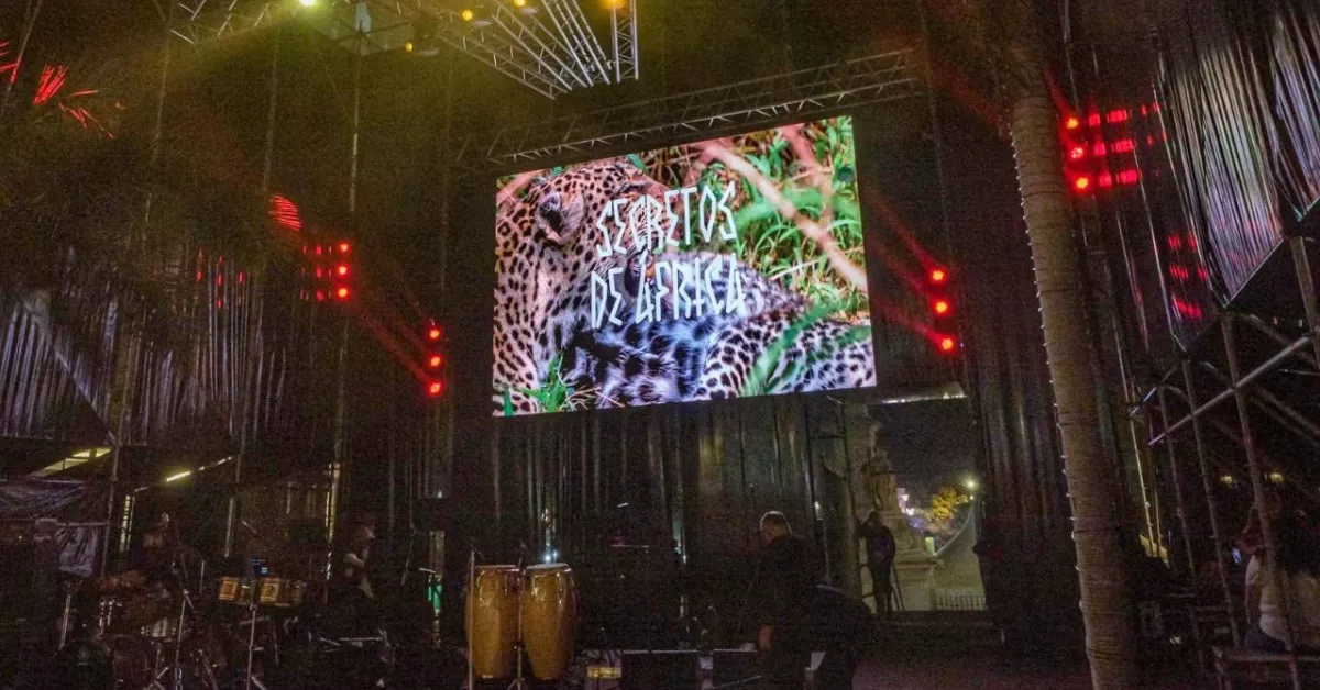 Momento de la elección de 'Secretos de África' como tema del Carnaval de Santa Cruz de Tenerife 2025./ CEDIDA