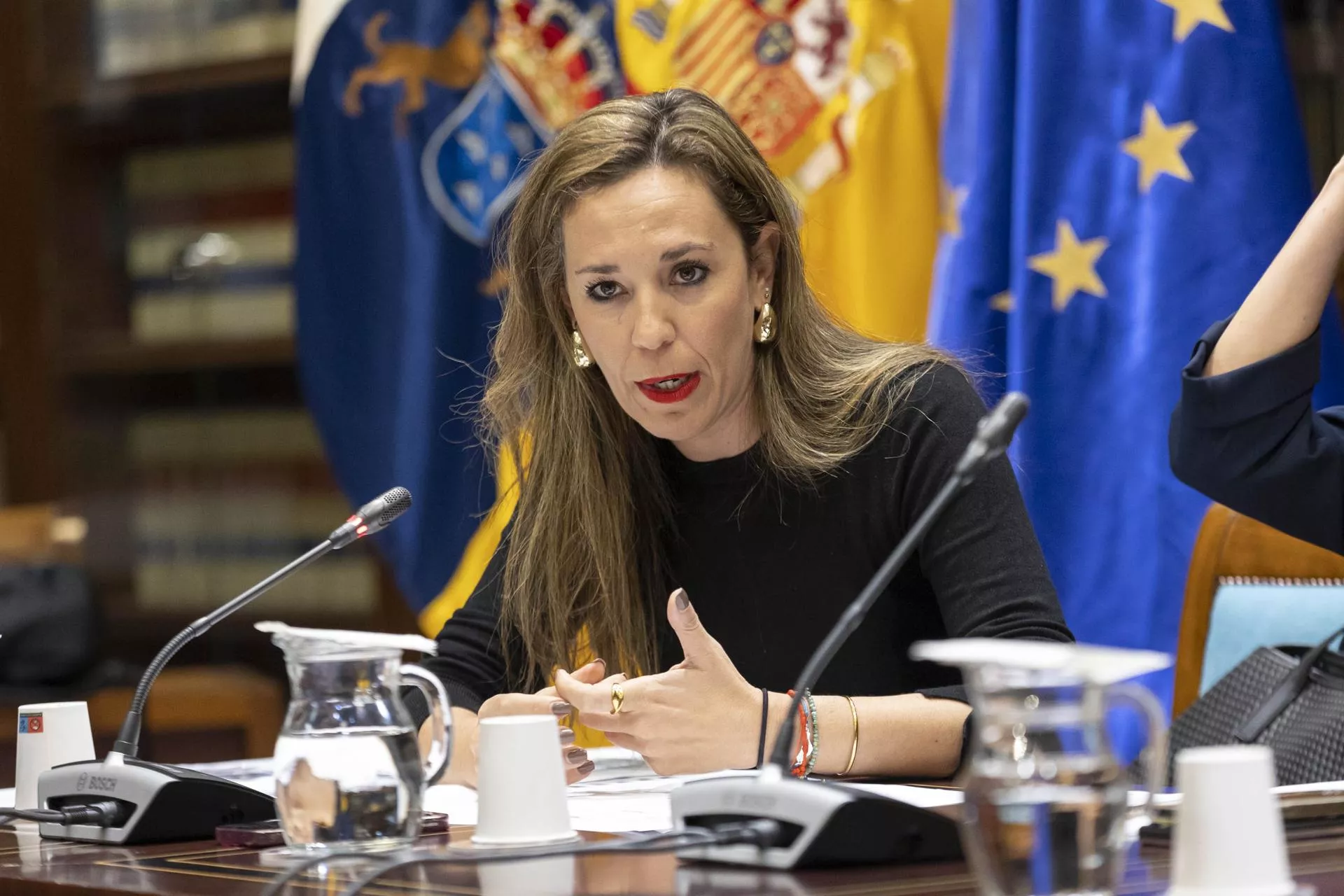 Jéssica de León, consejera de Turismo, en el Parlamento de Canarias. / EFE - MIGUEL BARRETO 