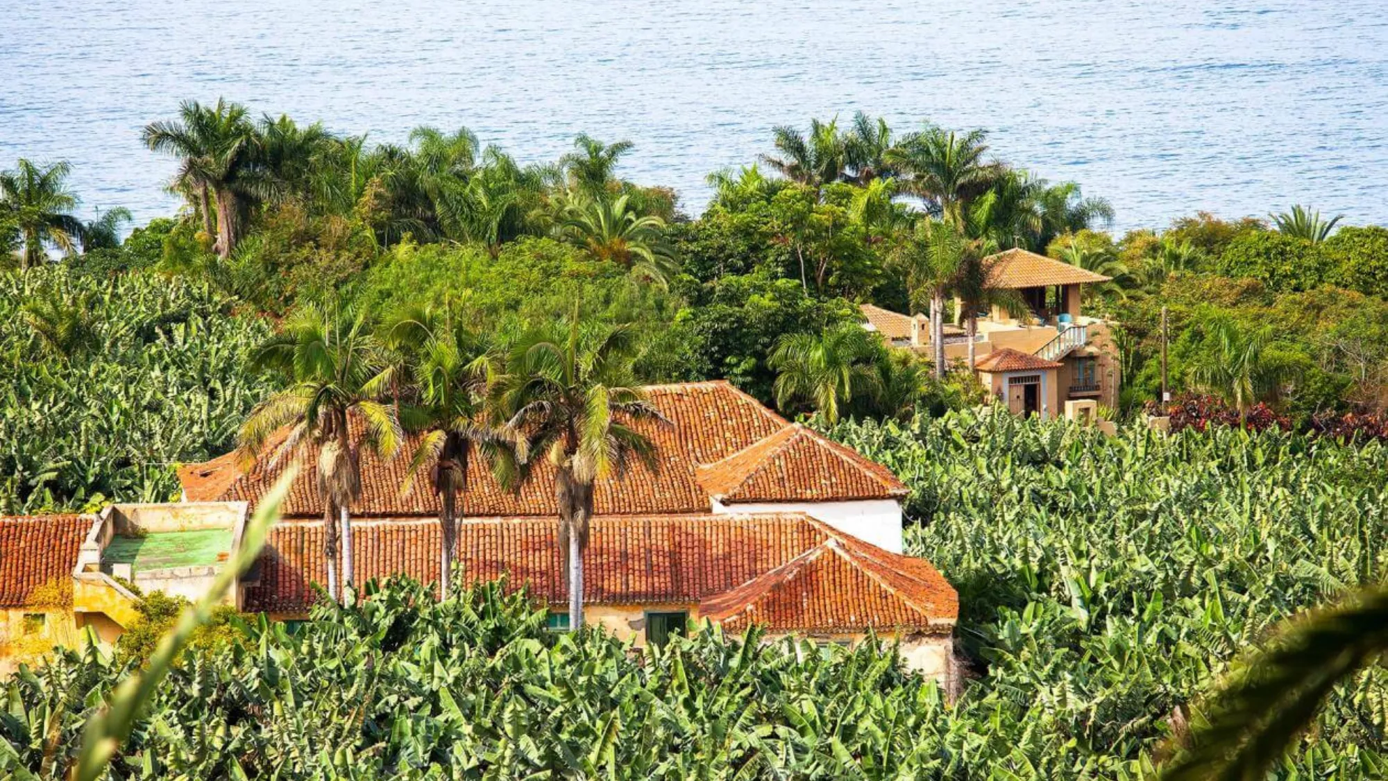 La mujer desapareció por un acantilado de la Rambla de Castro en Los Realejos. / TURISMO DE CANARIAS
