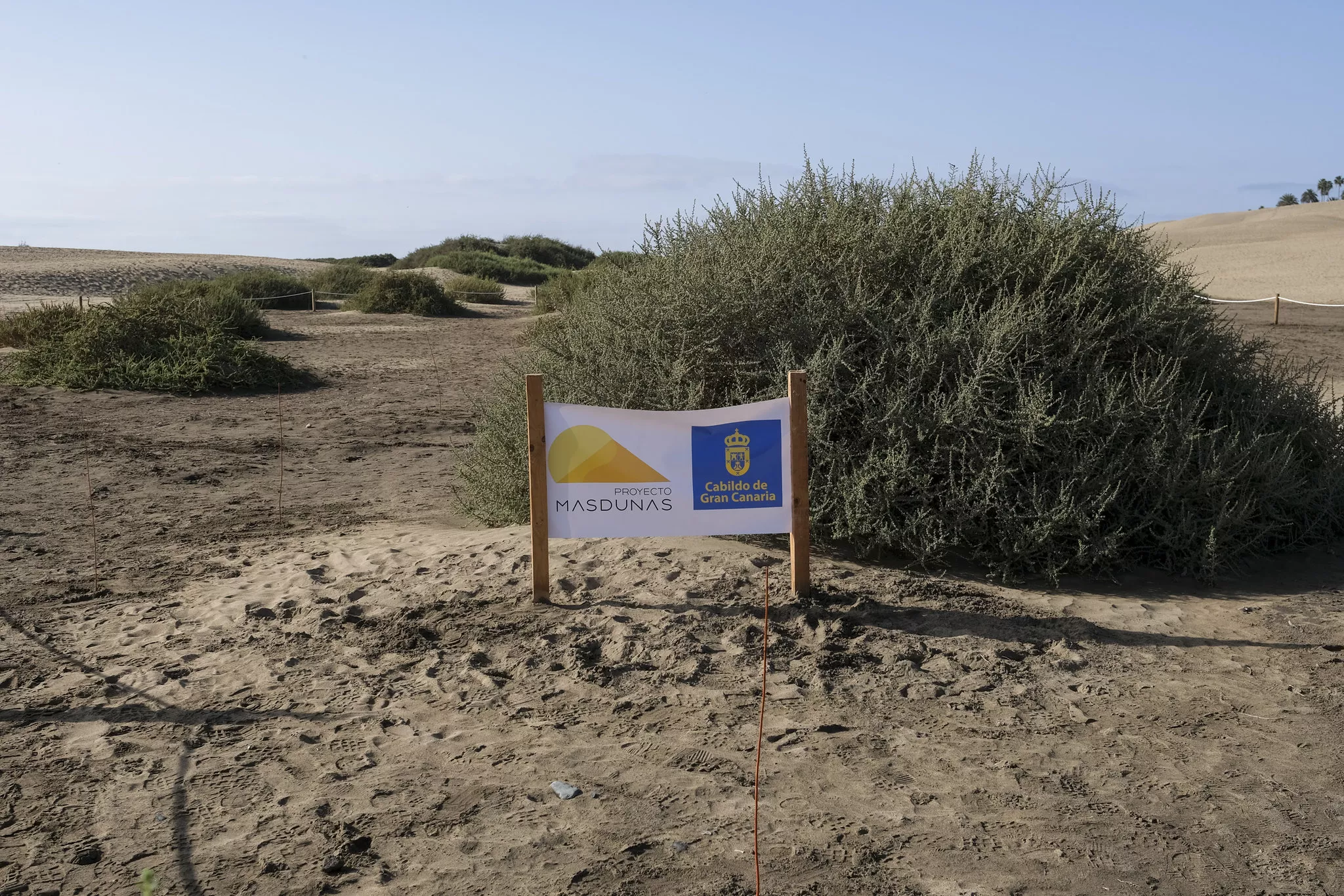 Señalética en las Dunas de Maspalomas / CEDIDA
