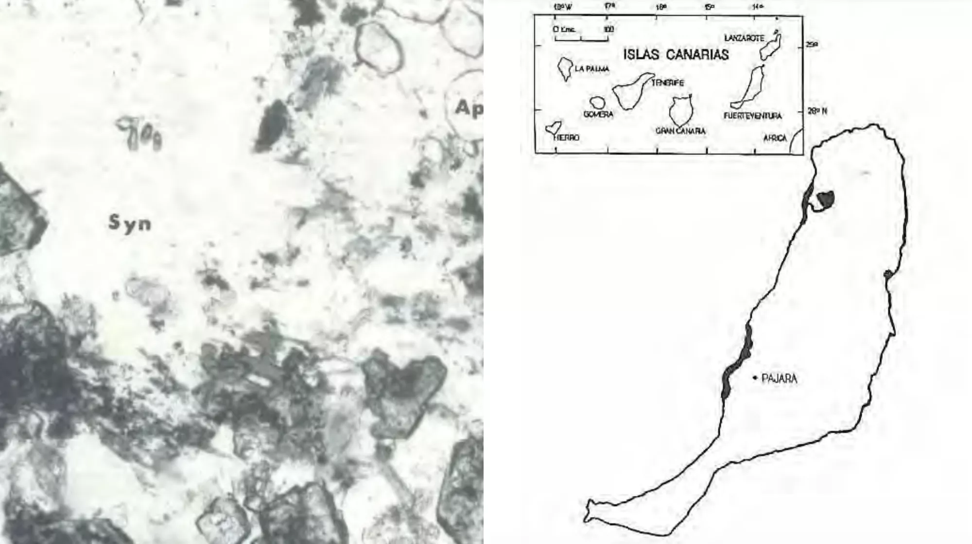 A la izquierda, sección donde se aprecian minerales portadores de tierras raras; a la derecha, mapa de Fuerteventura con las zonas a estudiar./ J. MANGAS