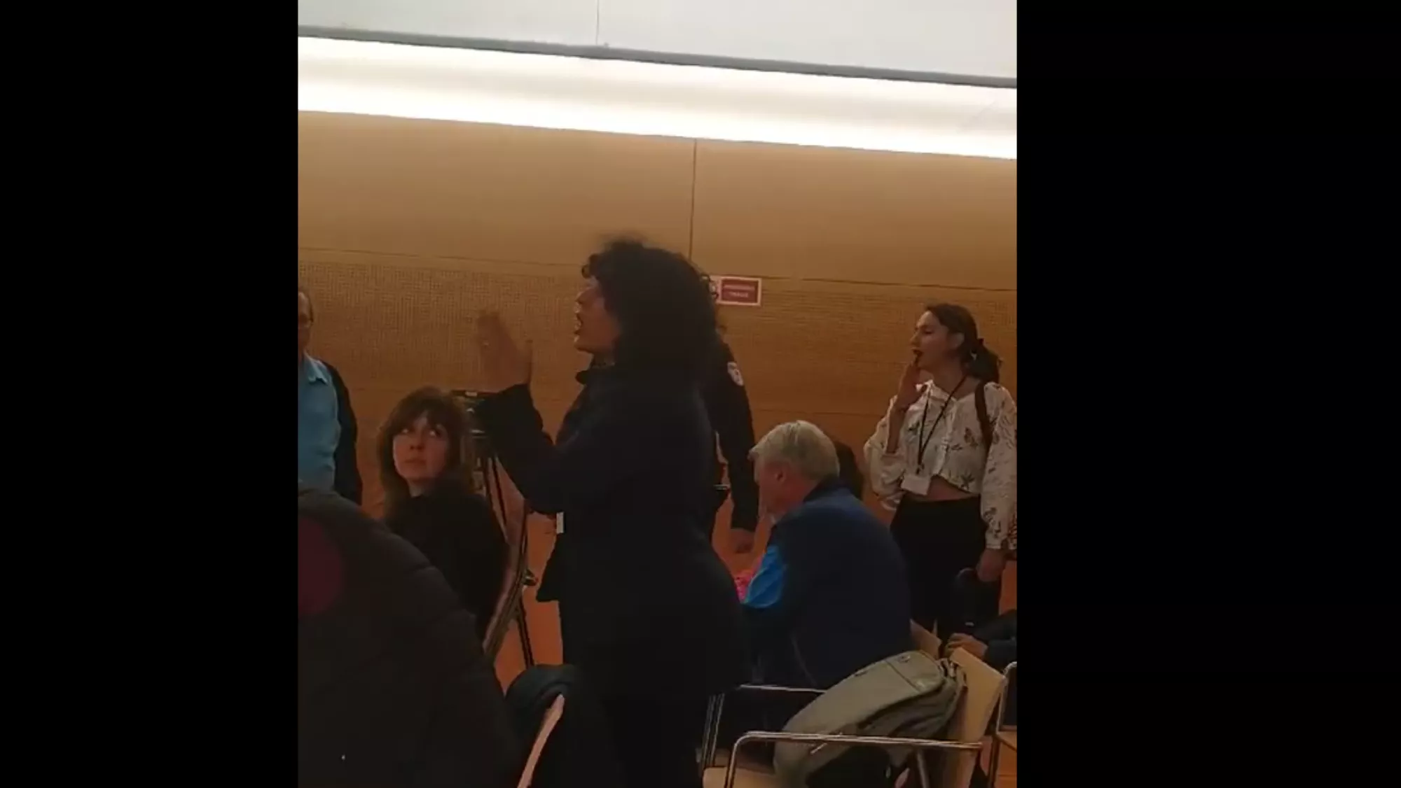 Dos mujeres irrumpen en el pleno del Cabildo de Tenerife. / AINOHA CRUZ - ATLÁNTICO HOY