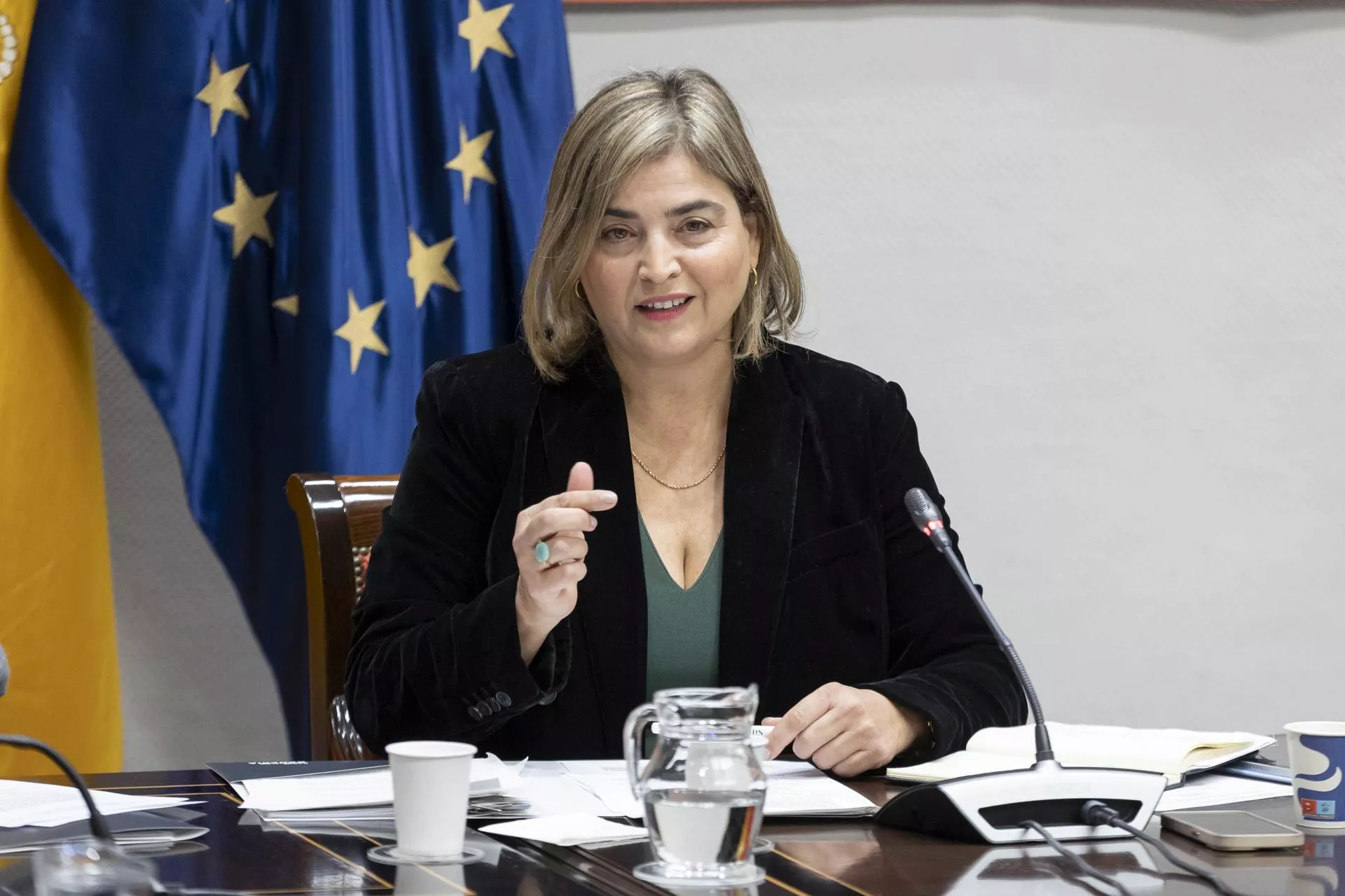 La administradora general de Radio Televisión Canaria (RTVC), María Méndez, en comisión parlamentaria./ EFE-MIGUEL BARRETO