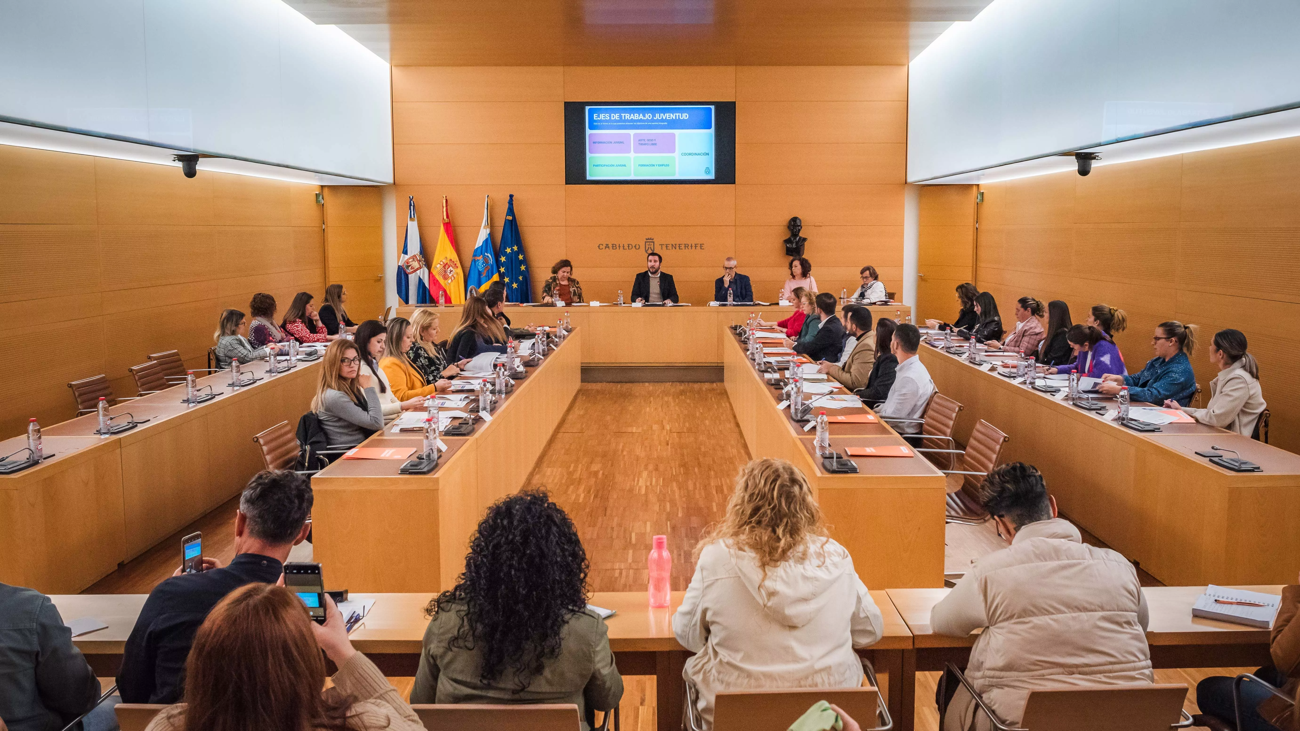 Mesa Insular de Juventud en el Cabildo de Tenerife./ CEDIDA