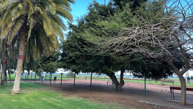 El parque Manolo Millares en la Vega de San José / ATLÁNTICO HOY - MARCOS MORENO (1) El parque Manolo Millares en la Vega de San José / ATLÁNTICO HOY - MARCOS MORENO (1)