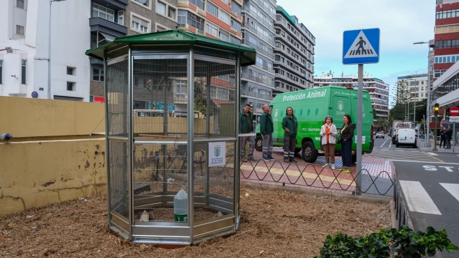 Operarios del Ayuntamiento de Las Palmas de Gran Canaria instalaron la jaula el lunes.