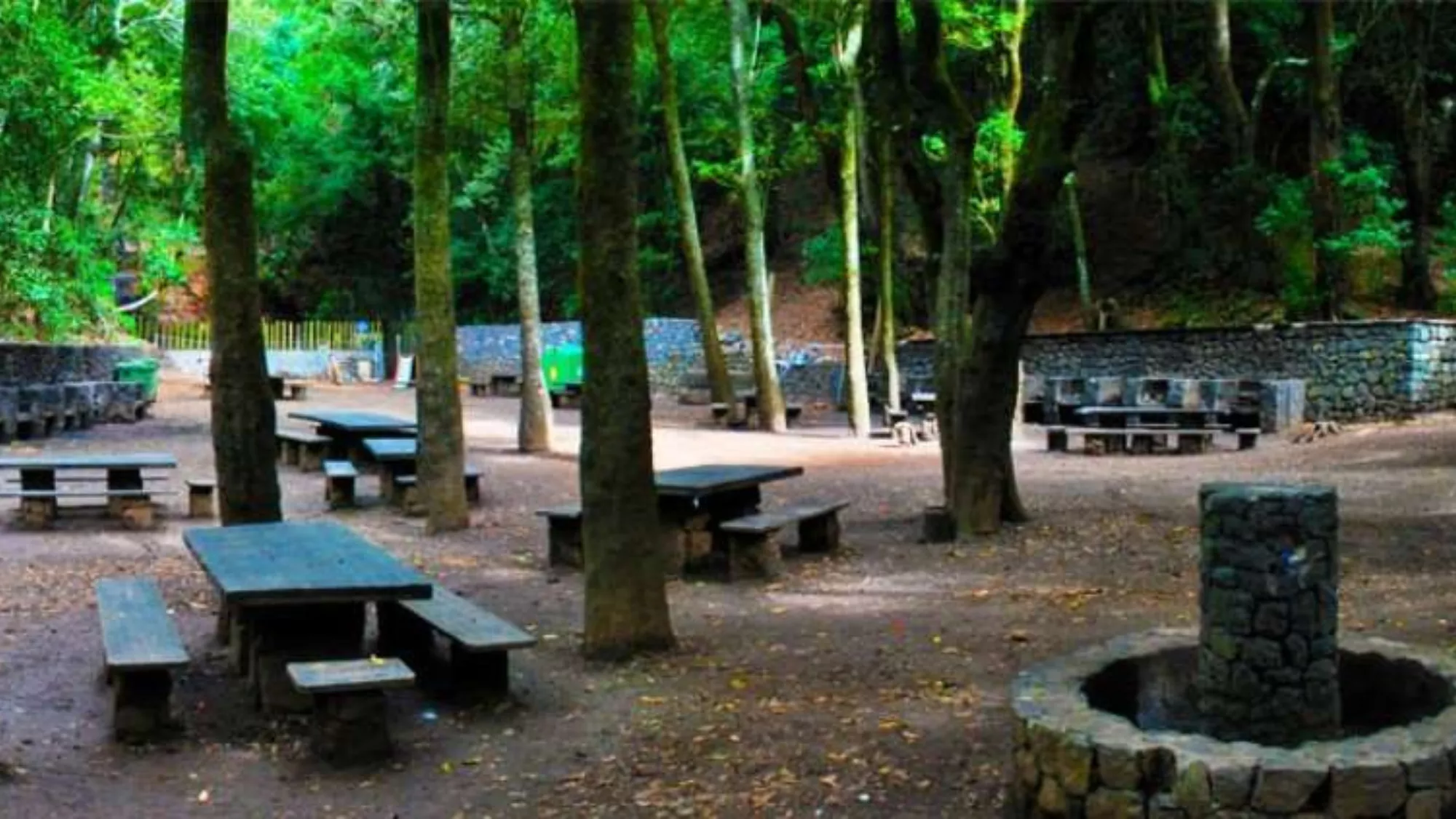 Llano de los Viejos, Anaga. / CABILDO DE TENERIFE
