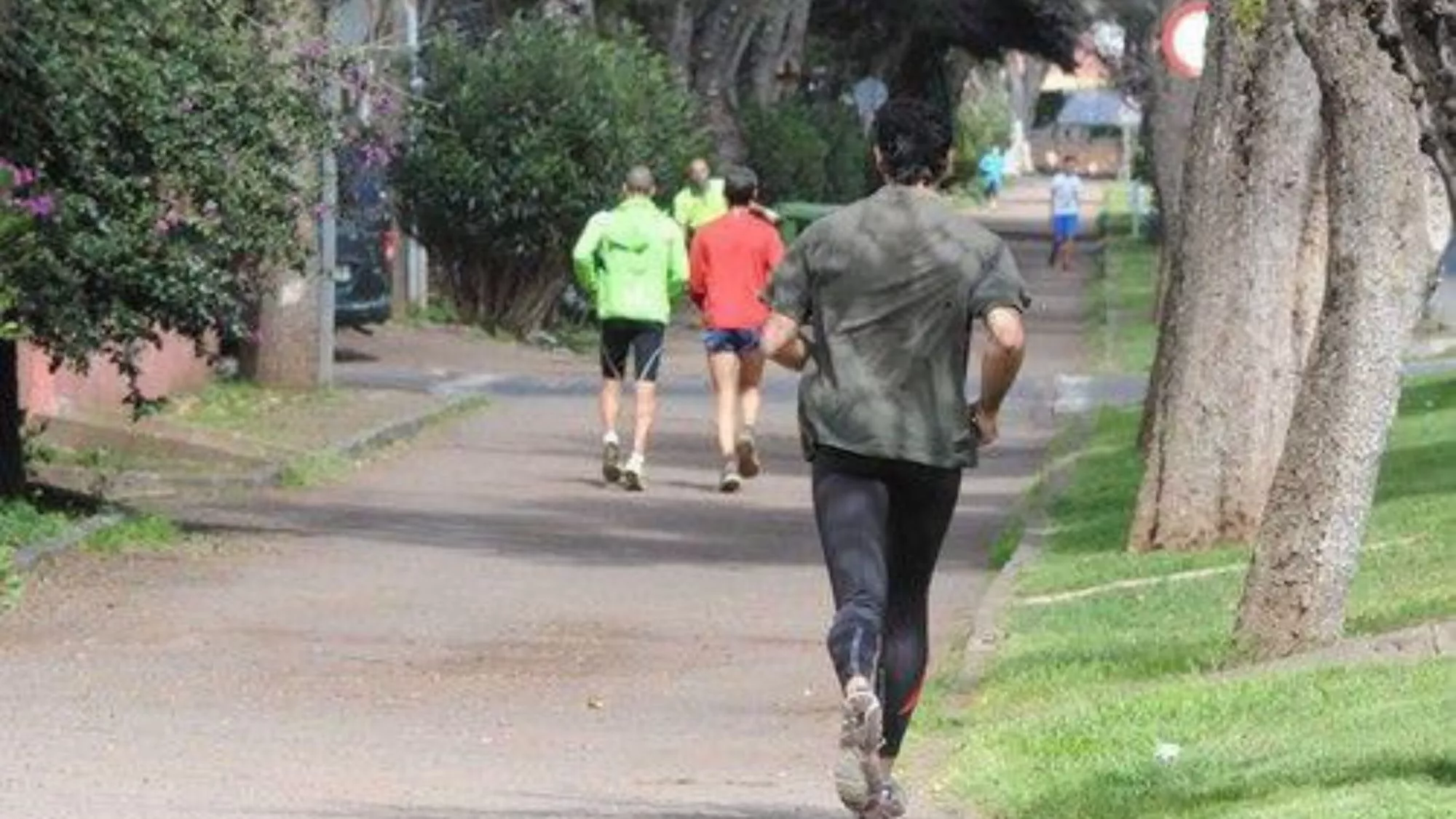 Corredores por el camino de Las Peras, en La Laguna / ARCHIVO