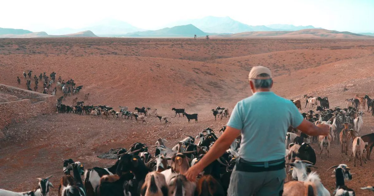 Un ganadero vigila su granja en Fuerteventura. / GOBIERNO DE CANARIAS