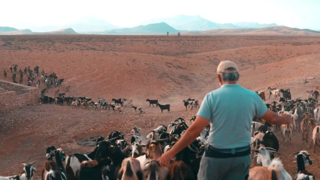 Un ganadero vigila su granja en Fuerteventura. / GOBCAN