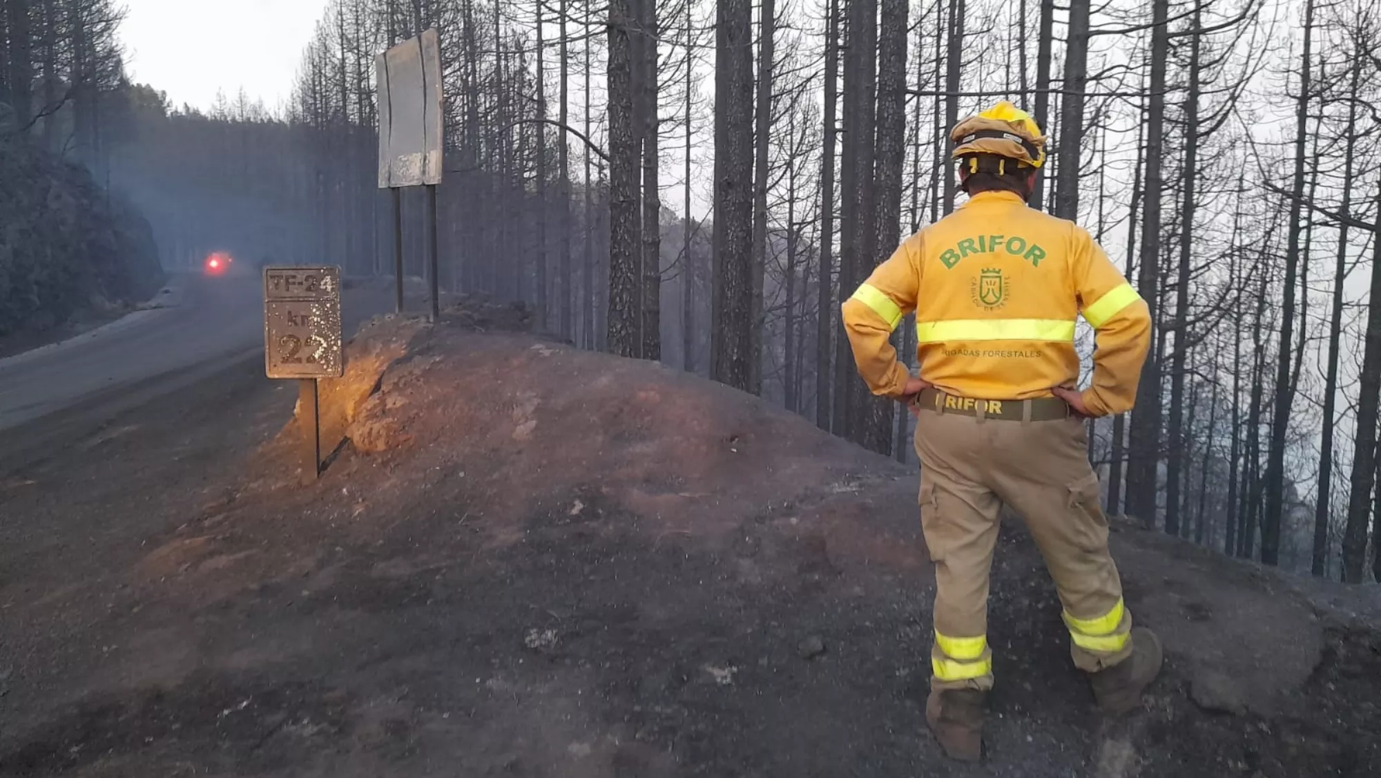 El plan trata de mejorar la empleabilidad y la inserción laboral / CABILDO DE TENERIFE