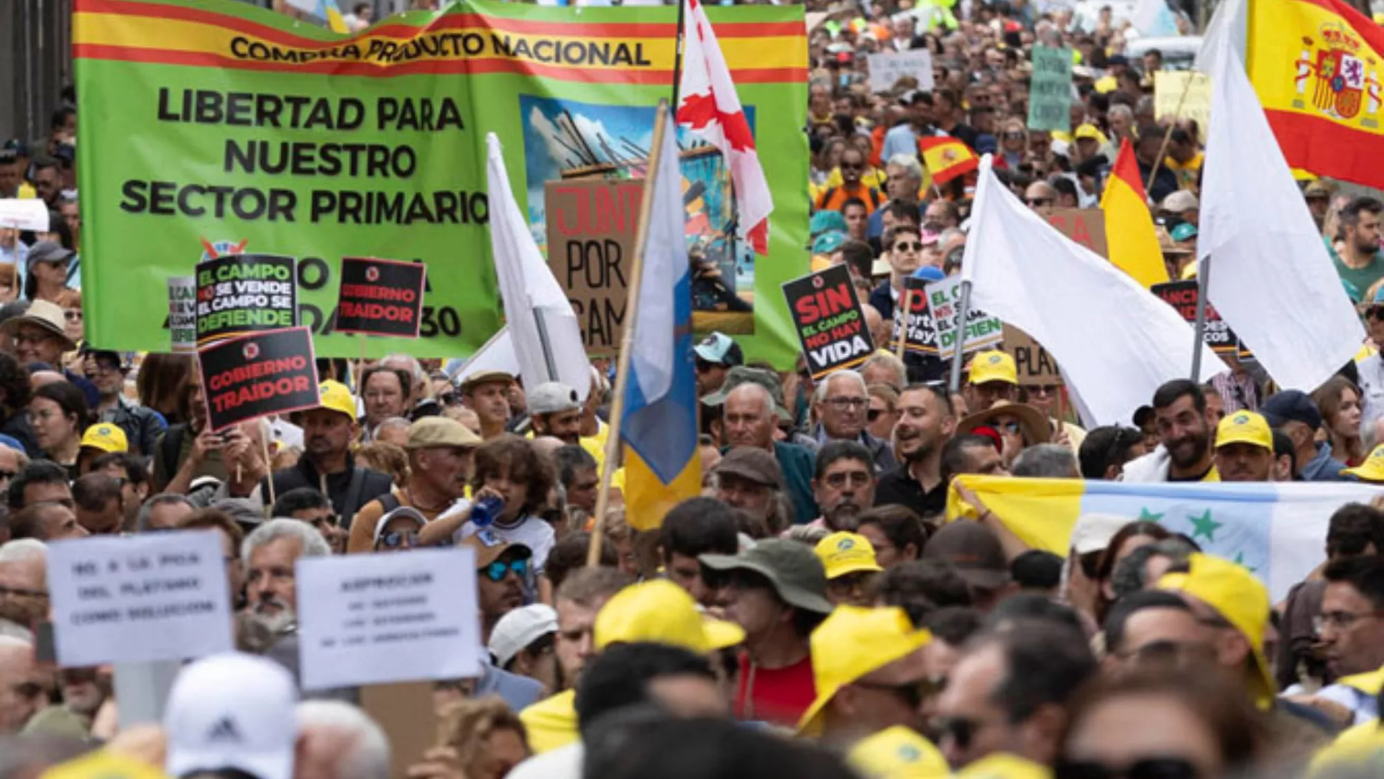 Manifestación del sector primario en Tenerife. / ARCHIVO