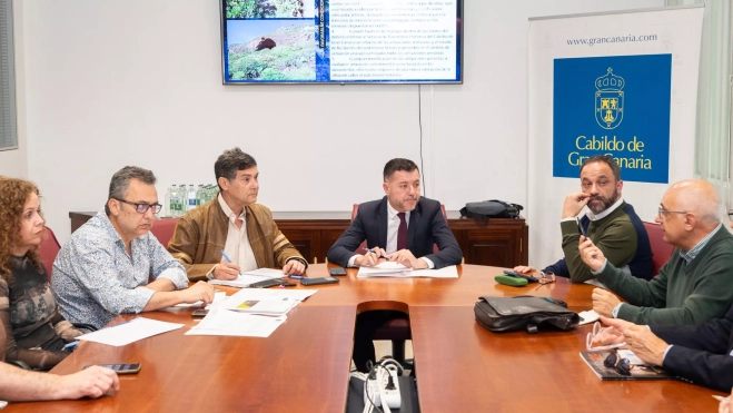 Reunión del Cabildo de Gran Canaria sobre el Museo Néstor / CABILDO DE GRAN CANARIA