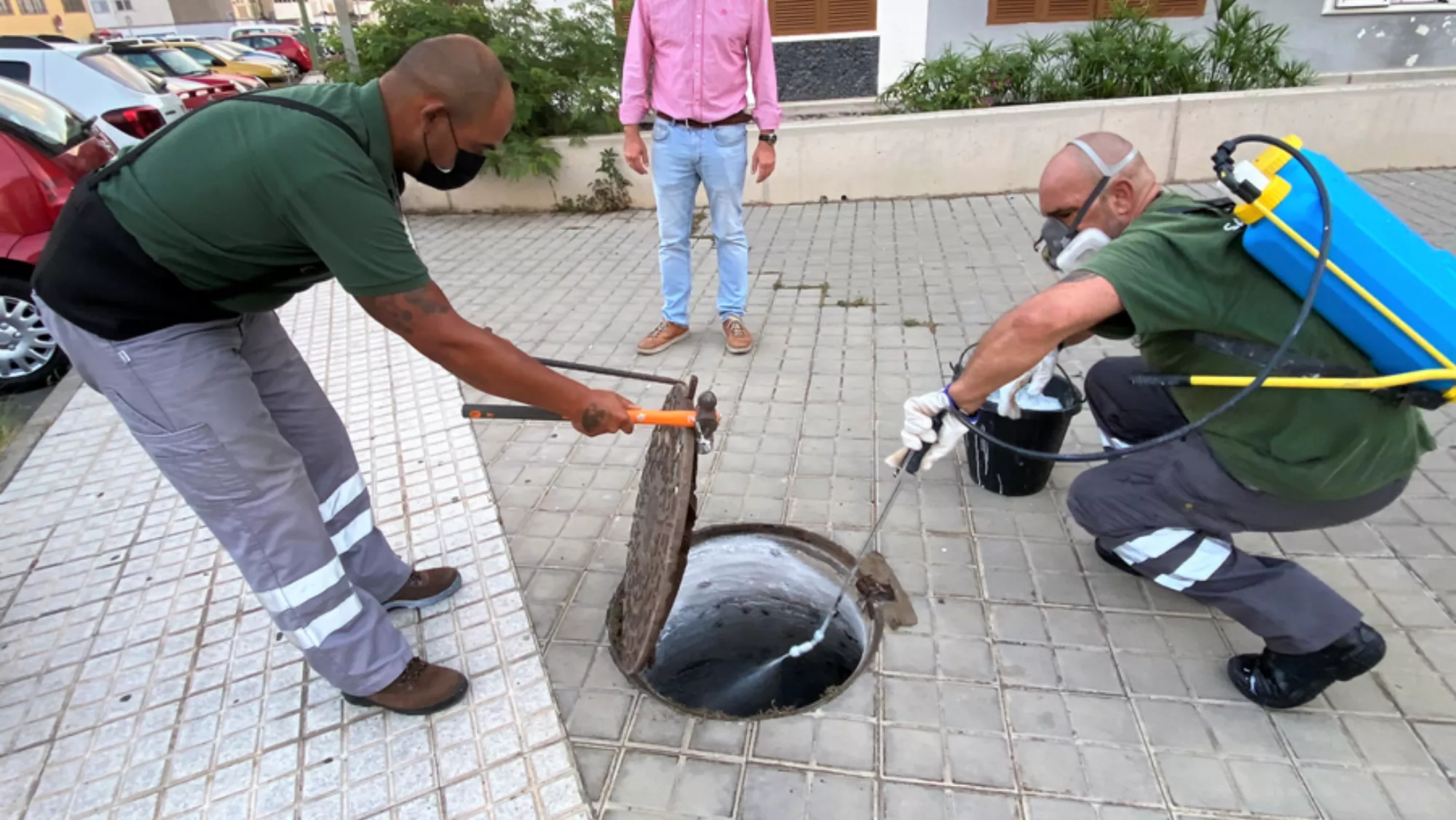 Control de plagas / AYUNTAMIENTO DE LAS PALMAS DE GRAN CANARIA
