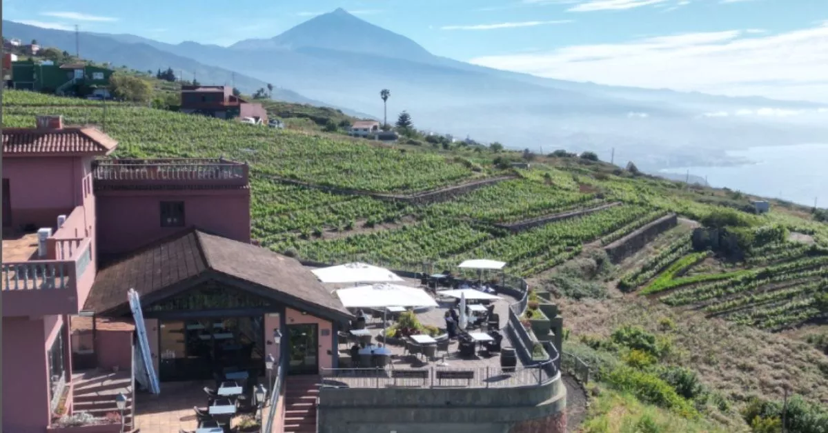 Las Bodegas Monje se ubican en el enclave de La Hollera del municipio tinerfeño de El Sauzal, con vistas espectaculares desde El Teide hasta el Atlántico./ BODEGAS MONJE.