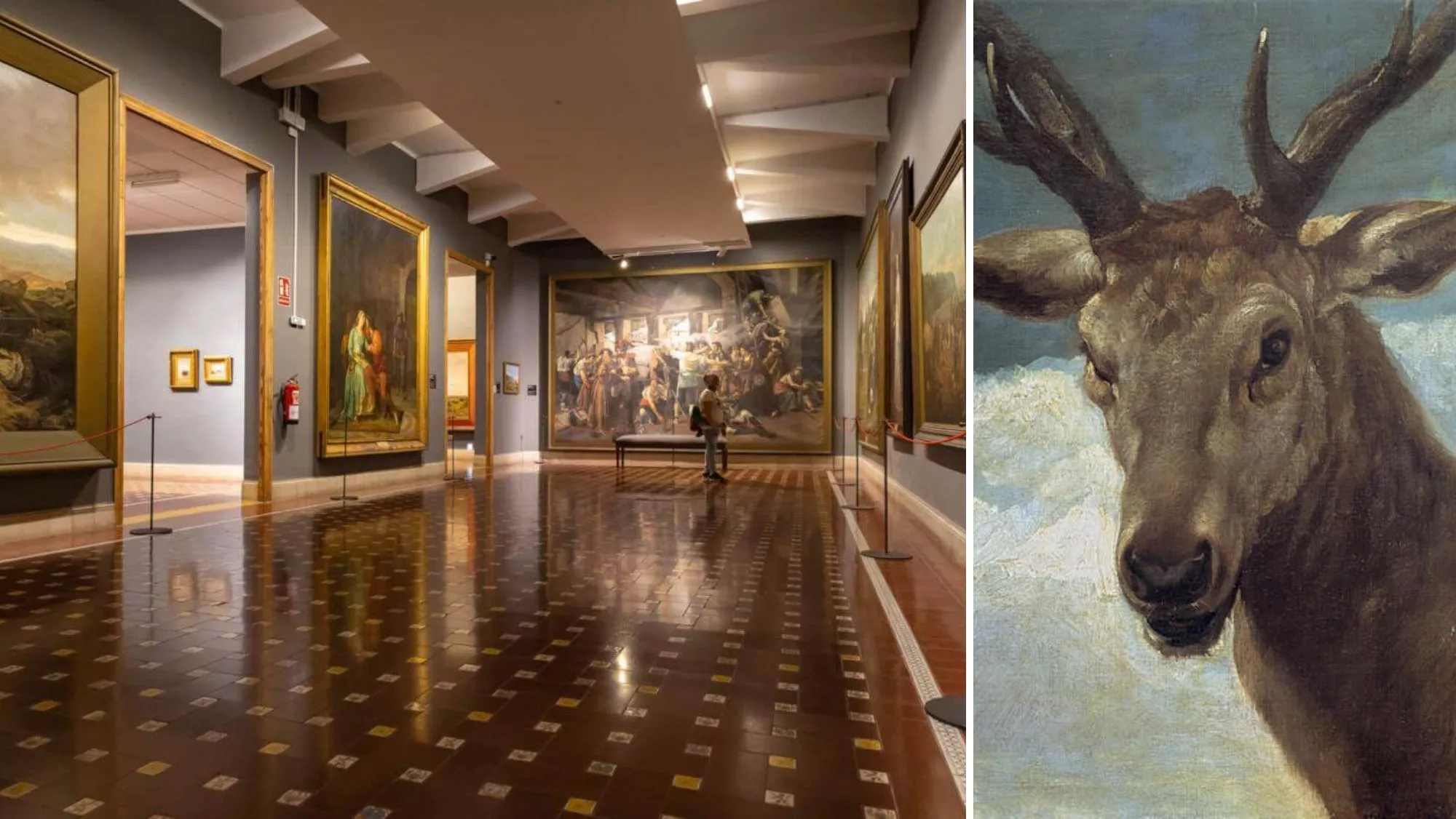 El Museo de Bellas Artes de Santa Cruz y 'Cabeza de venado', de Velázquez / AH